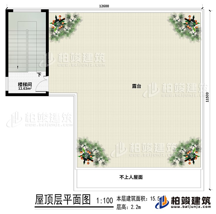 房頂：樓梯間、露臺(tái)
