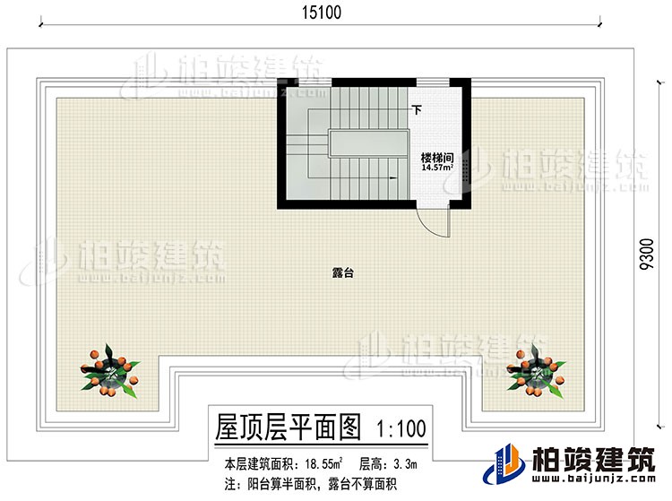 屋頂：樓梯間、露臺(tái)